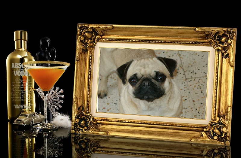 Publication : Du bois de l'Ôrieu 