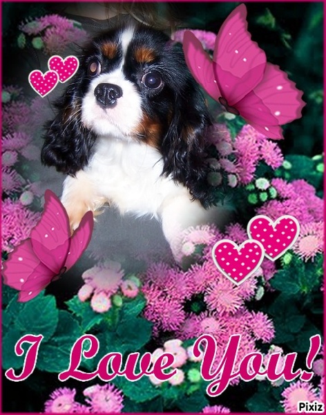 Publication : Du Royaume des Emeraudes Auteur : mme planche