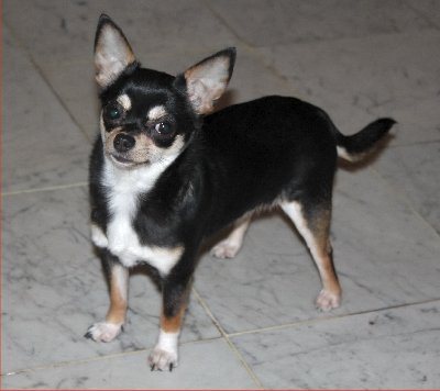  Auteur : Odile Bernard