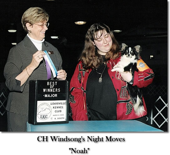 CH. windsongs Night moves