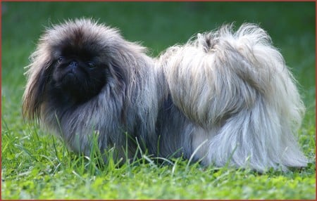 Publication : de l'empire des trois lacs 