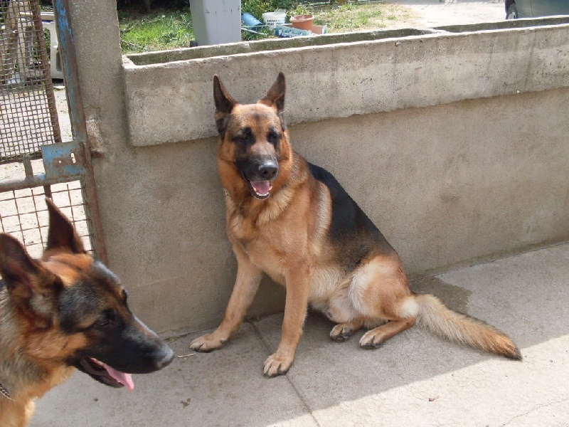 Auteur : Taugourdeau didier