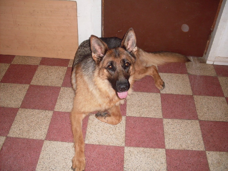  Auteur : TAUGOURDEAU DIDIER