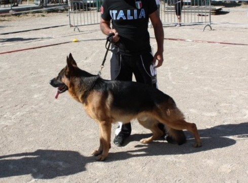 Casar du val d'hérigny