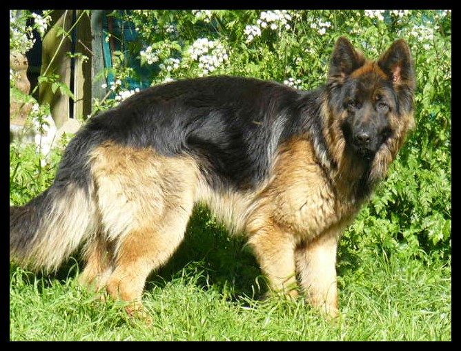 Publication : de noelland