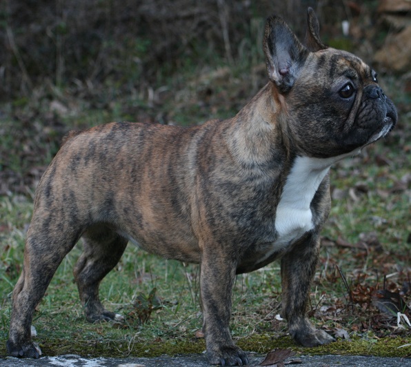 Publication : Des Collines Du Garlaban Auteur : laure sanchez