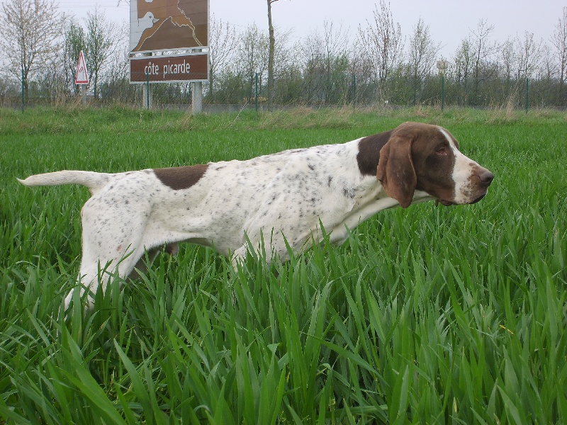 Publication : Du Val Des Roches Du Vexin Auteur : Colette Garay