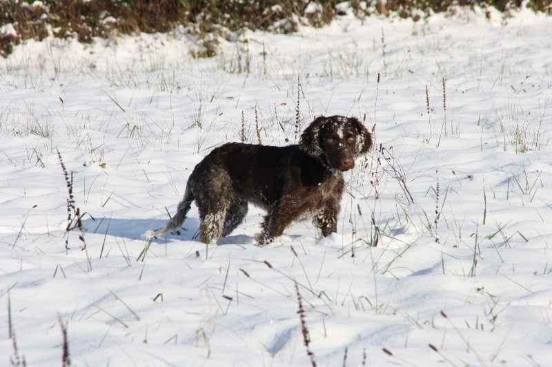 Publication : des Jardins de Grenade Auteur : Ecrin de la Dame