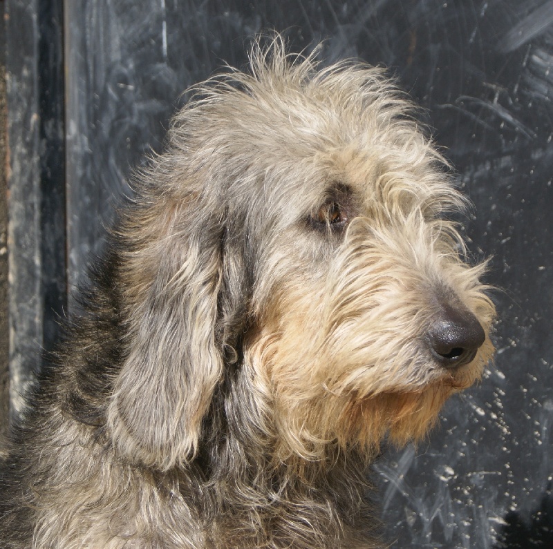 Engie des monts de corvol