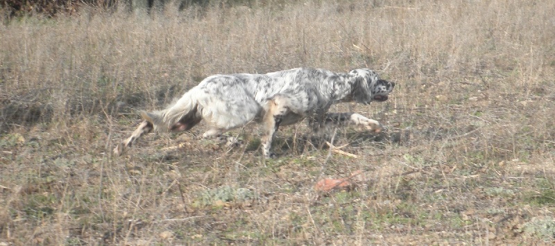 Publication : de Cante Pardigaou