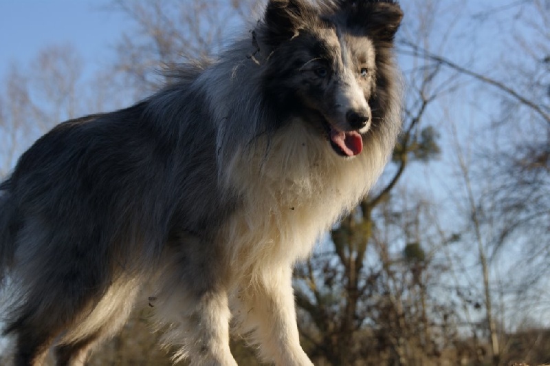 Publication : Des Plaines de Gaïa 