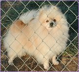 beau james Poseidon's adventure