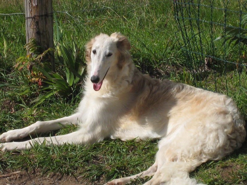 Publication : Des Fils D'eywa 