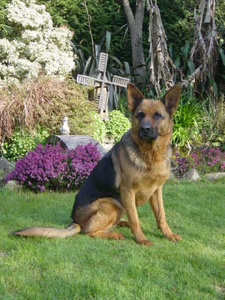 Abi Du cottage des dunes