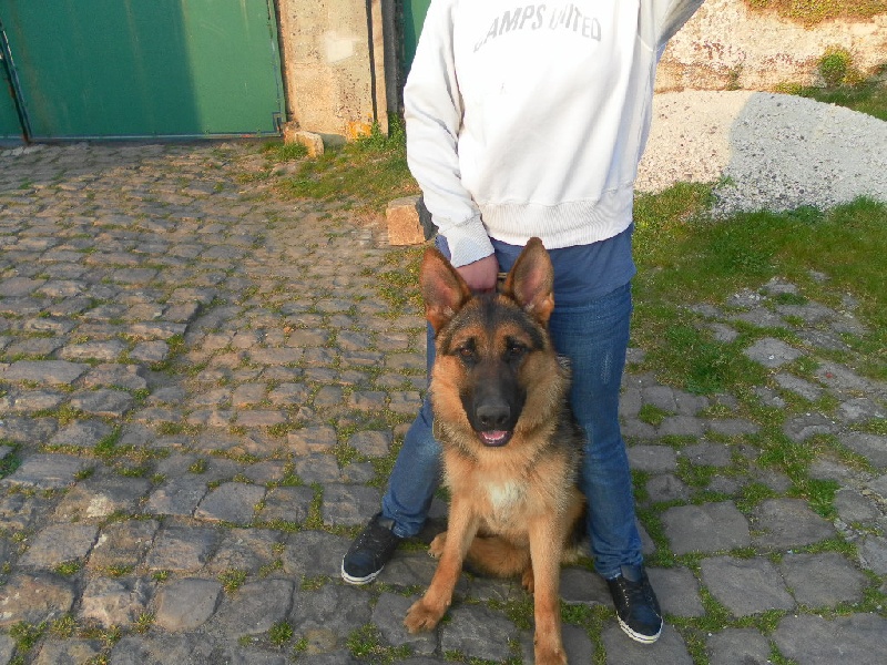 Publication : des Balcons de Louqsor Auteur : Lépine Franck Pierre