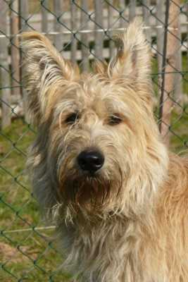 Publication : Eltanin