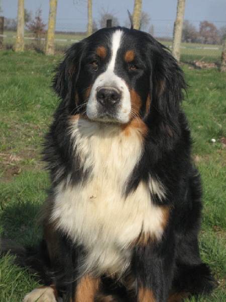 Publication : Blue Moon Secrets Auteur : Maud AUTERLOT