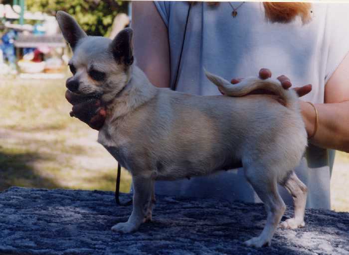 pahkinan Dorage du rêve