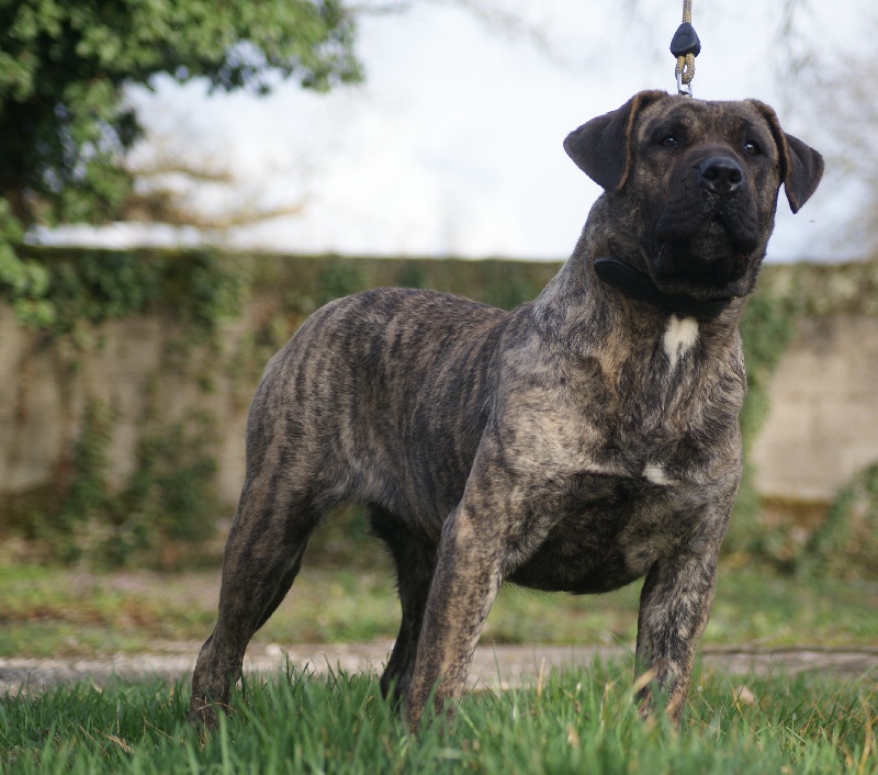 Deicide de la roue solaire