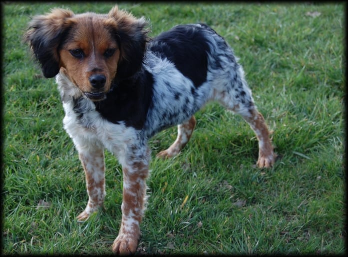 Publication : (Sans Affixe) 