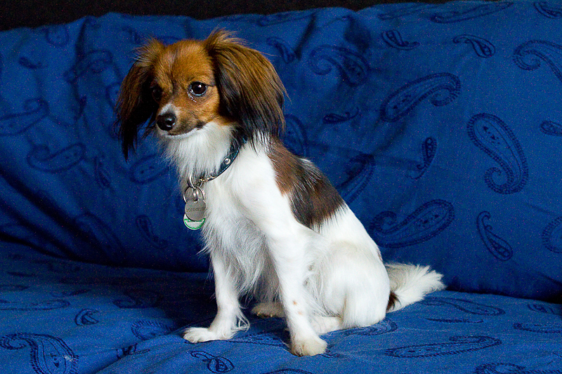 Publication : des messagers de l'espoir 