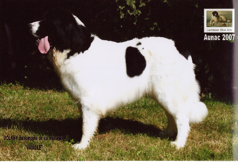 Publication : des Terres Marines Auteur : LMA