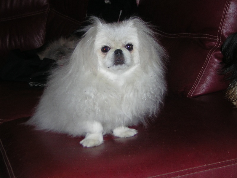 Publication : De la source aux trésors Auteur : Mr MAUREL