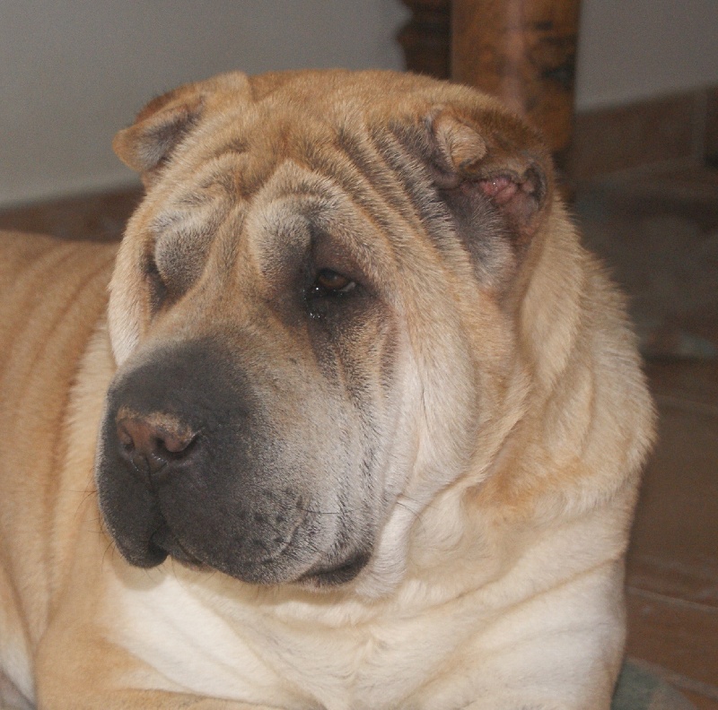 Publication : du roc d'Eden