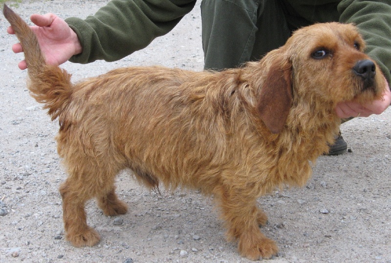 Publication : De Lann Ar Loch 