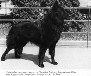 CH. Int. italien. urto del la bozzetta