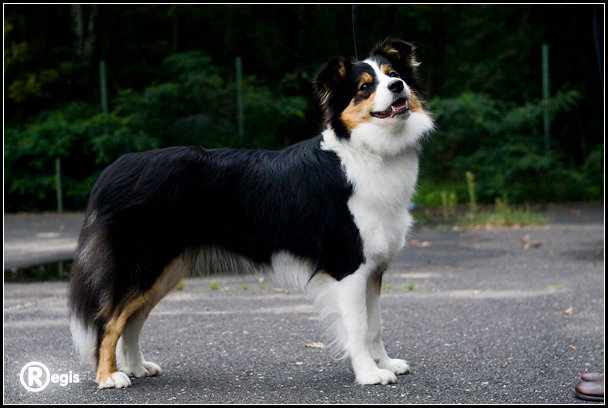 Publication : With Passion 