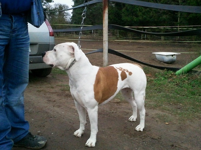 Publication : De la Norgère 