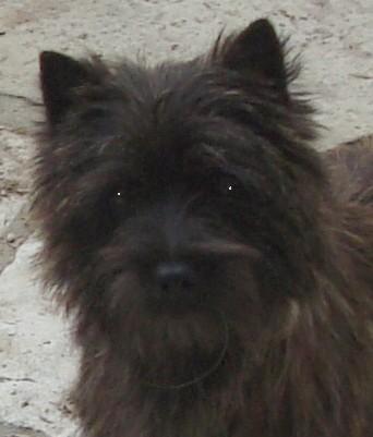 Dorothee Du hameau des landes