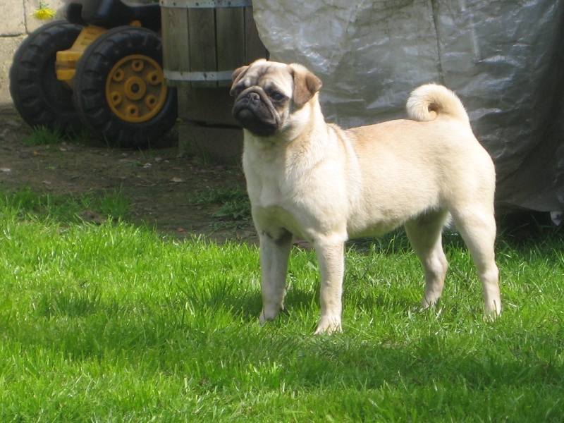 Publication : Descendant d'Ares 