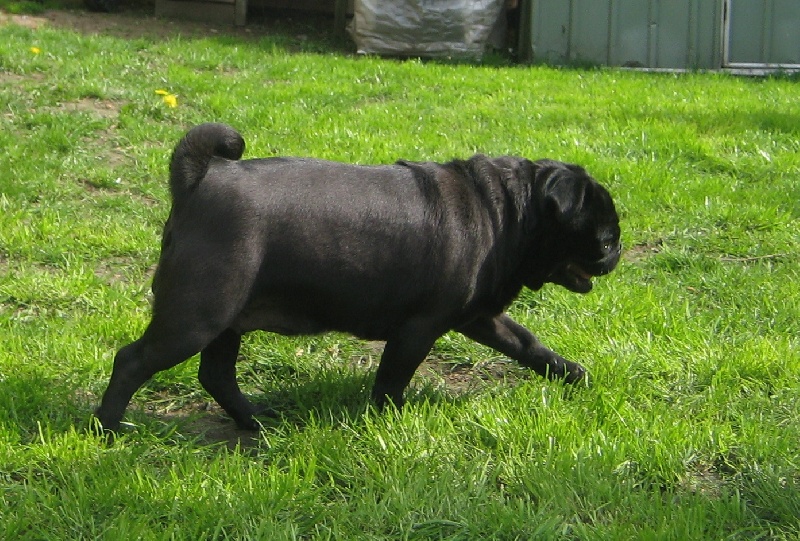 Publication : Descendant d'Ares