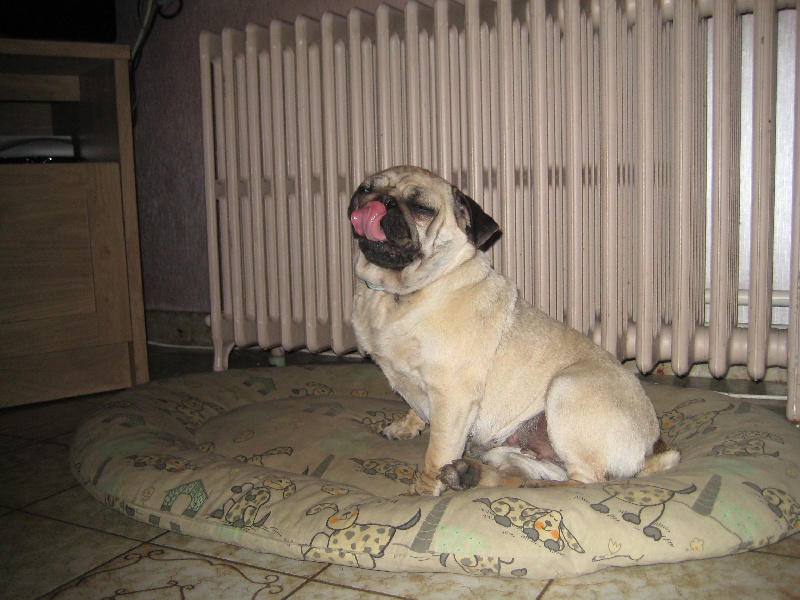 Publication : Descendant d'Ares