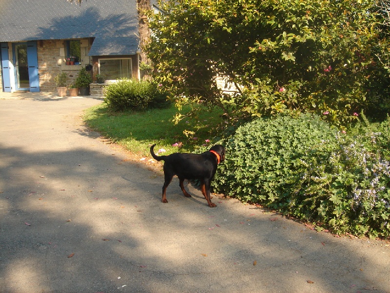 Alinda De ladelazolle