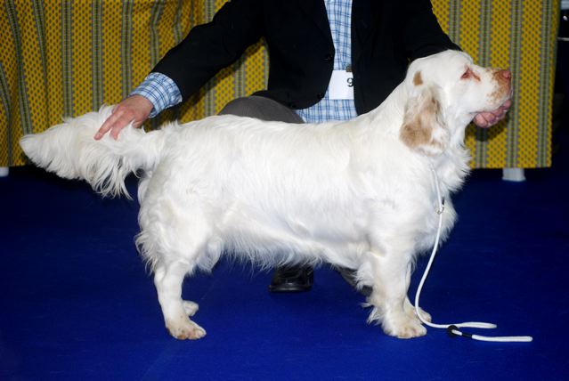 Publication : Du Clos Des Enfantins Auteur : Fabien LASSERRE