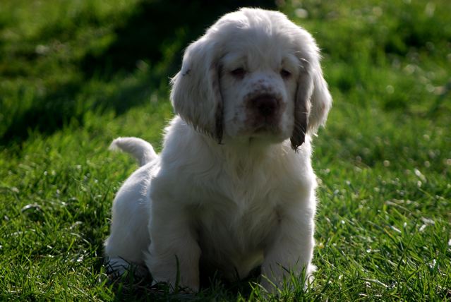 Publication : Du Clos Des Enfantins 