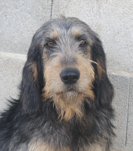 Publication : du roc d'Eden Auteur : Sylvie Hebert