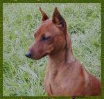 Publication : Socapias 