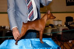 Publication : Socapias 