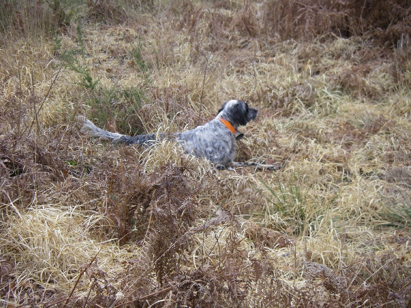 Publication : Du Domaine De Nath Auteur : mr sandy louy