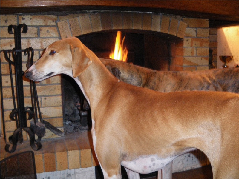 Publication : du temple d'Aphrodite Auteur : CLAIRE CHAGNEAUD