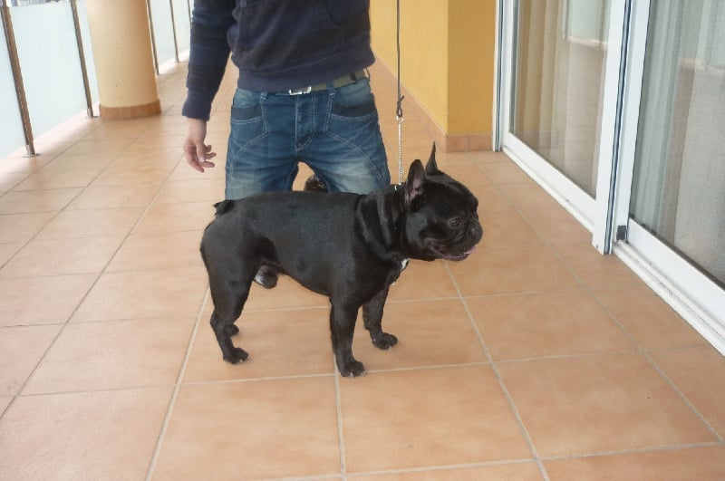 Publication : Del Golfo De Roses