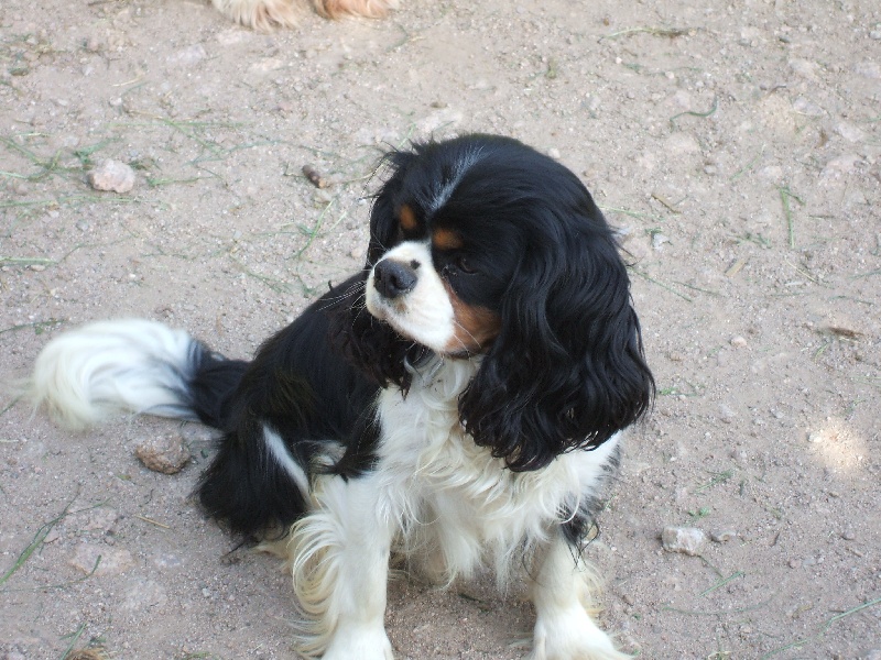 Eliot Du domaine de maryanne