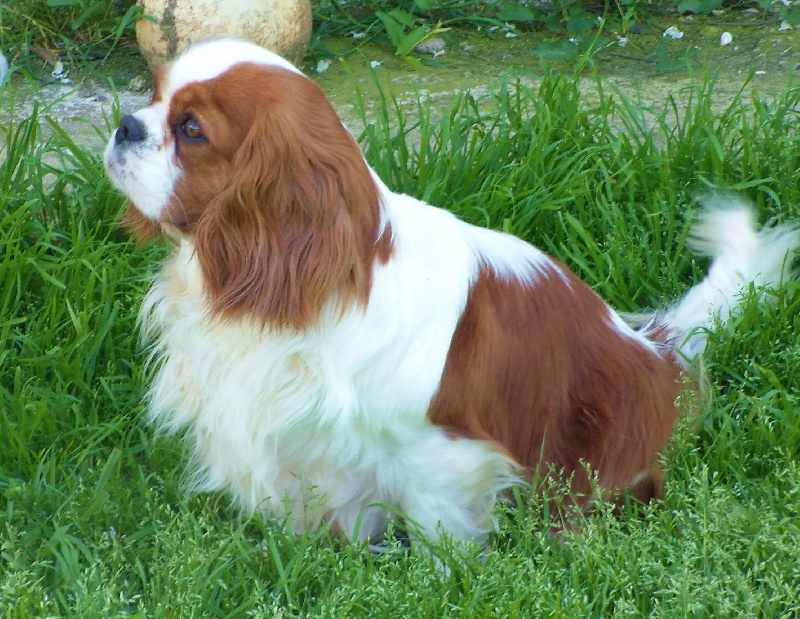 Publication : De jamirande Auteur : Michèle JACQUOT