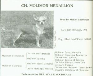 CH. Molimor Medallion