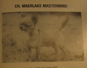 CH. Maerlake Mastermind