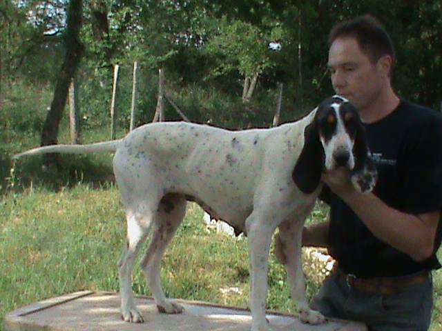 Publication : Du Revermont 